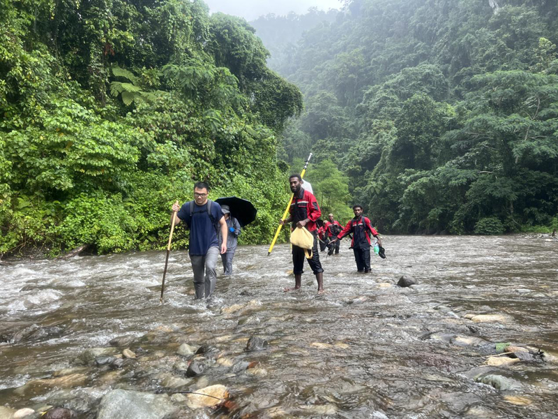 万水千山只等闲，践行六讲勇向前 ——所罗门金岭水电站项目勘察工作侧记